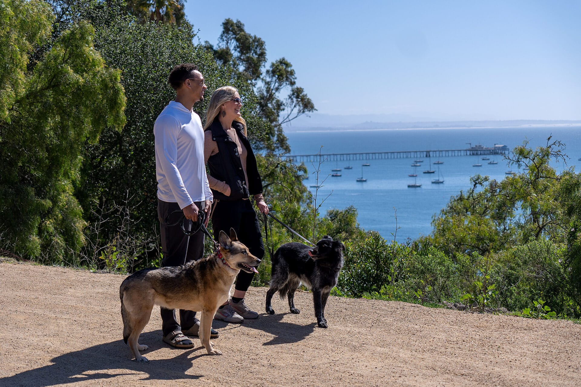 The Week Features Flying Flags Avila Beach in “How to Travel with Your Dog”